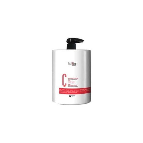 TECHLINE MASCARILLA COLOR PROTECT 500ml