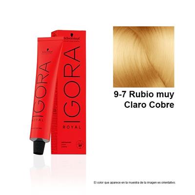 TINTE IGORA ROYAL 9-7