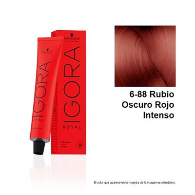 TINTE IGORA ROYAL 6-88