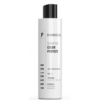 CHAMPU ABSOLUK COLOR PROTECT 300ml