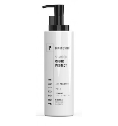 CHAMPU ABSOLUK COLOR PROTECT 1000ml