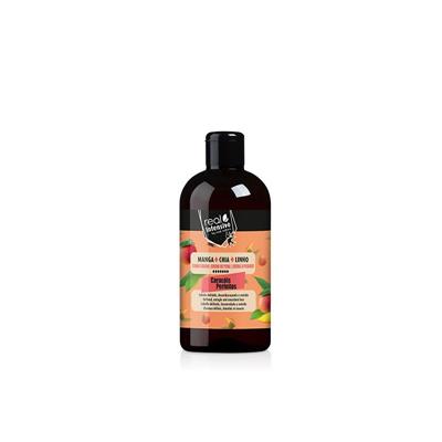 CREME DE PENTEAR CARACÓIS PERFEITOS 300ML - LIBERADO
